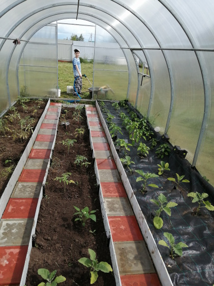 Агротекстиль Agrojutex 100г/м2 - 1x50м Агротекстиль Agrojutex 100г/м2 - 1x50м