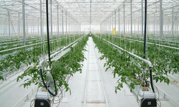Агротекстиль Agrojutex белый 130г/м2 - 4.20x100м Агротекстиль Agrojutex белый 130г/м2 - 4.20x100м